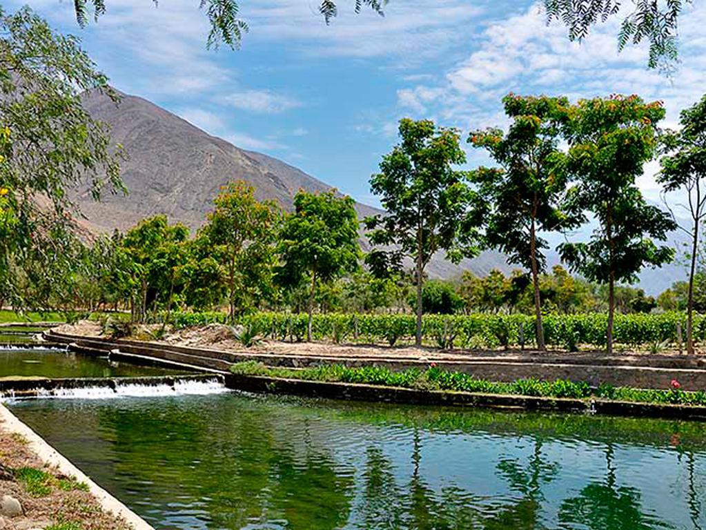 Guizado Portillo Hacienda & Resort Lunahuana Exterior photo